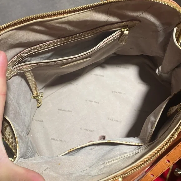 Brahmin - Picture 8 of 10